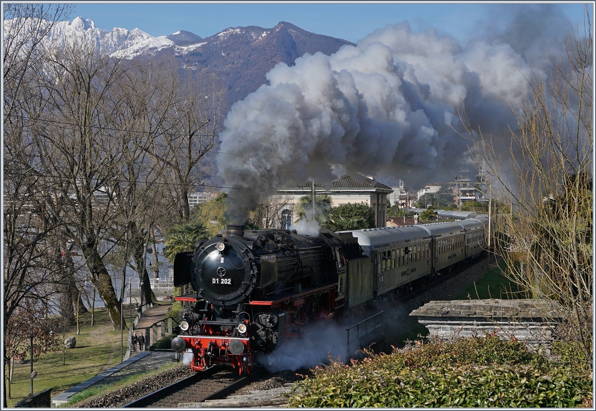 Die schöne 01 202 verlässt begleitet von einer prächtigen Rauchfahne mit ihrem Extrazug Locarno Richtung Gotthard.
22, März 2018