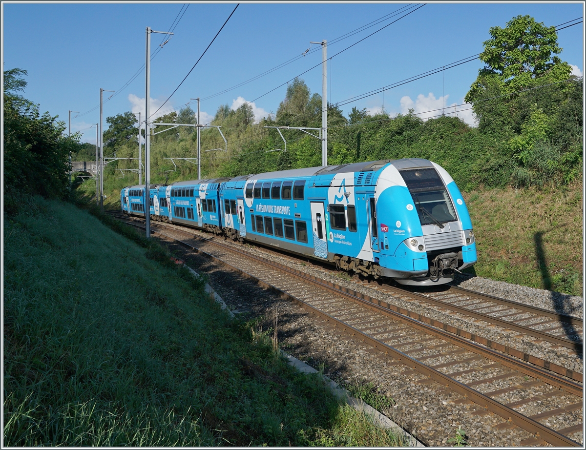 Die schöne, himmelblaue Computermaus 317 ist von Grenoble nach Genève unterwegs und hat ihr Ziel schon fast erreicht. Der SNCF Z24533/534, unterwegs als als TER 96605, konnte zwischen Russin und Satigny fotografiert werden.

2. August 2021