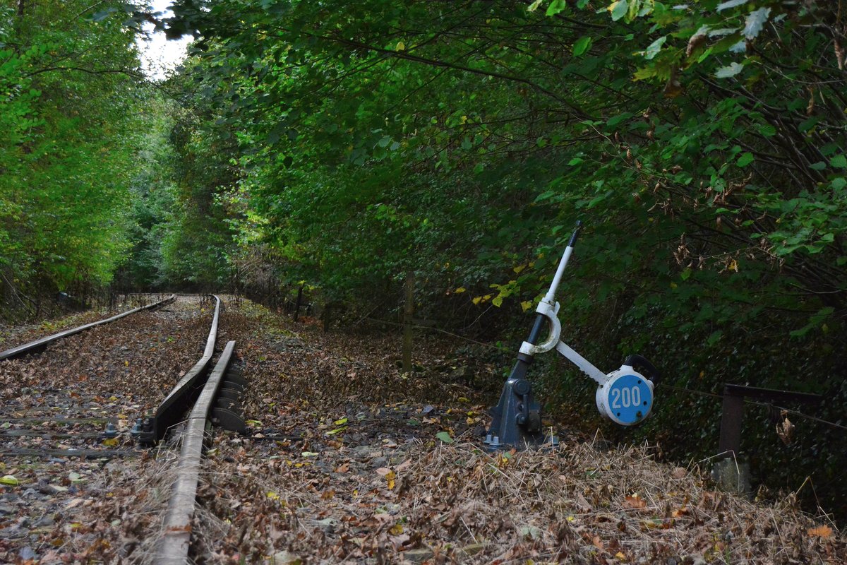 Die Schutzeiche mal anders. Hier hat man damals auf der Vennbahnstrecke statt einer ganzen Weiche nur einen Schienenstrang mit Backenschiene und Zunge versehen. Eine zweite besonderheit hier ist das die Schutzweiche per Hand gestellt wird.

Raeren 08.10.2016
