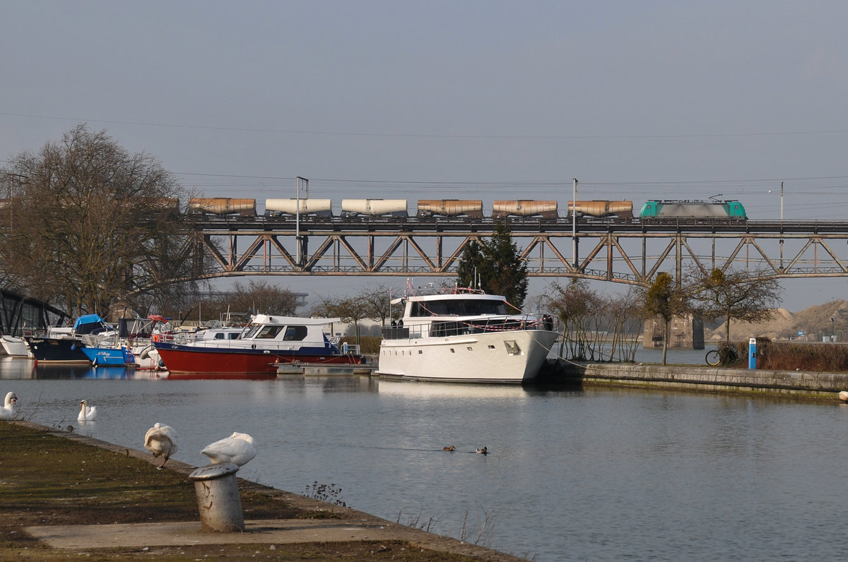 Die Schwäne im Yachthafen von Visé ließen sich nicht stören, als Cobra-Lok 2836 (186 228) mit einem Kesselwagenzug über den Pont des Allemands gen Aachen-West rumpelte. Die Aufnahme entstand am 11/03/2016.