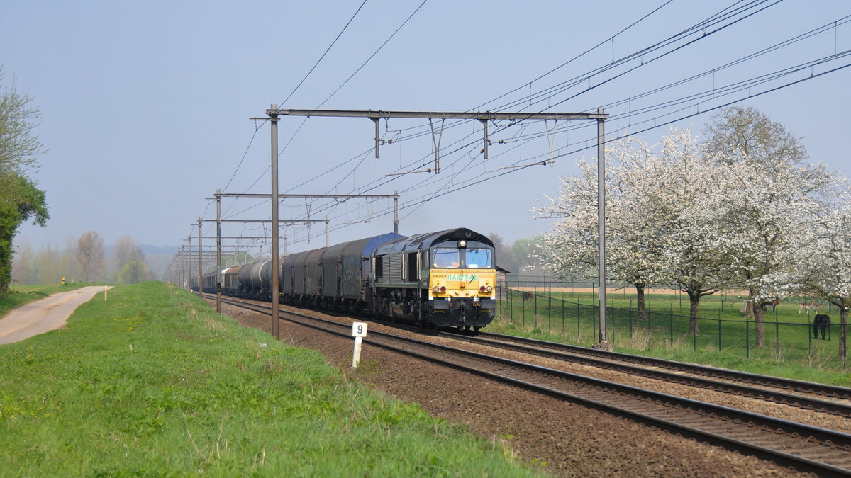 Die schwarze 266 118-9 von Railtraxx zieht einen gemischten Güterzug Richtung Visé und Aachen-West. Die Aufnahme entstand am 08/04/2017 an der Linie 34 in s'Herenelderen.