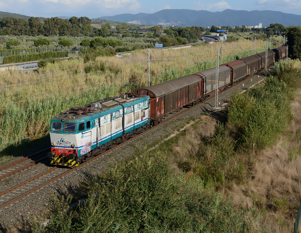 Die sechsachsige FS E 655 227  Caimano  war am 12.09.2013 mit einem Gterzug in Richtung Livorno unterwegs, und wurde von mir unweit des toskanischen Badeortes Follonica am Tyrrhenischen Meer fotografiert.