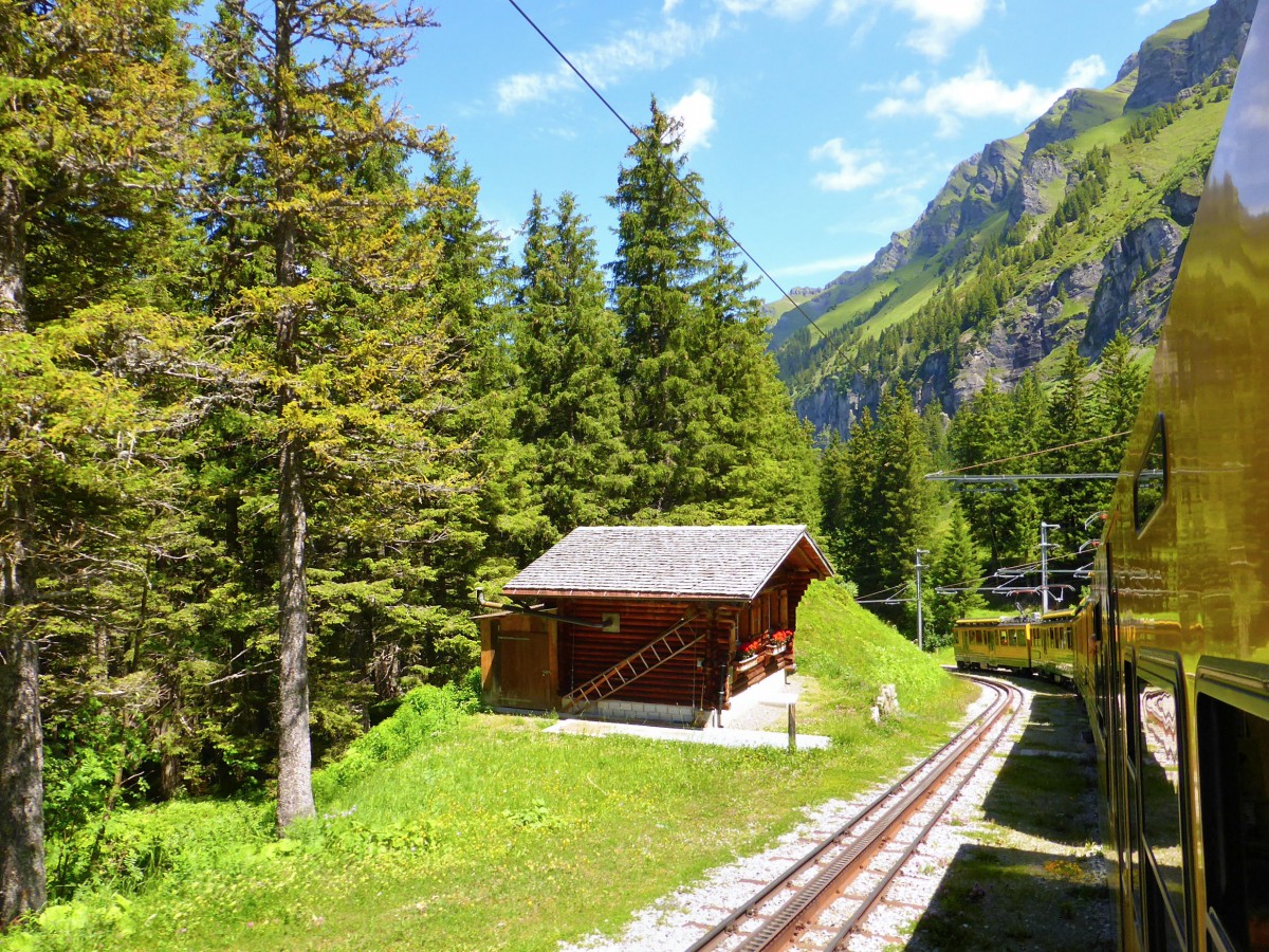 Die Sechswagen-Komposition mit den beiden Doppeltriebwagen in der Ausweiche Bannwald. Neben dem hübschen Wärterhäuschen fällt auf, dass in dem nicht regelmässig benützten Ausweichgleis noch die alte Zahnstange verblieben ist. 28.Juni 2015.  