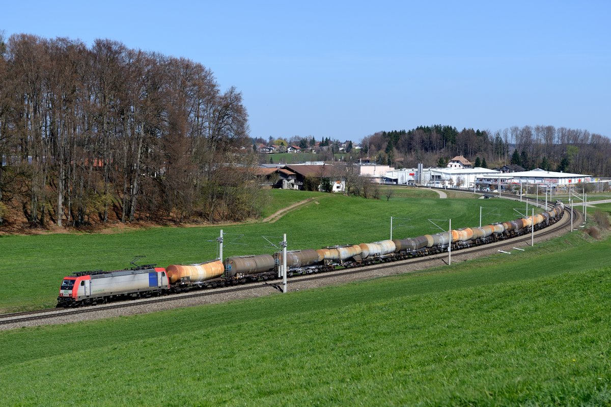 Die SETG 482 042 konnte mit einer Ladung Kreideschlamm nach Schwedt (Oder) am 30. März 2014 bei Axdorf aufgenommen werden.