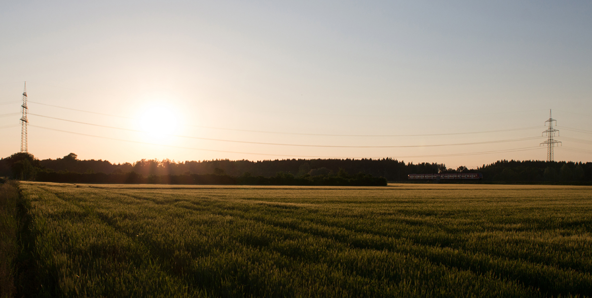 Die Sonne legte am Abend des 04.06.15 bereits ihre Strahlen über die Bäume, während ein 423 in Richtung Ebersberg unterwegs war.