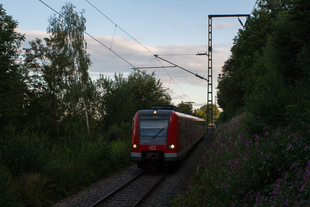 Die Sonne verkroch sich schon hinter den Bäumen, als 423 620-4 als S2 nach Erding in St. Koloman fotografiert wurde.