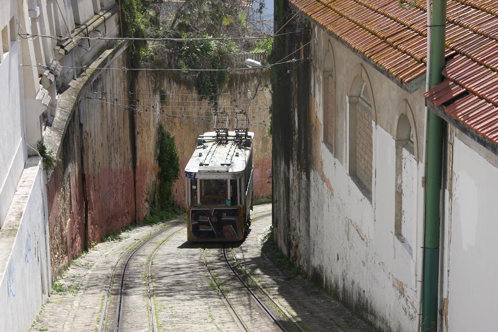 Die Standseilbahn in der Calcada do Lavra quält sich hier am 20.3.2018 den Berg hinauf.