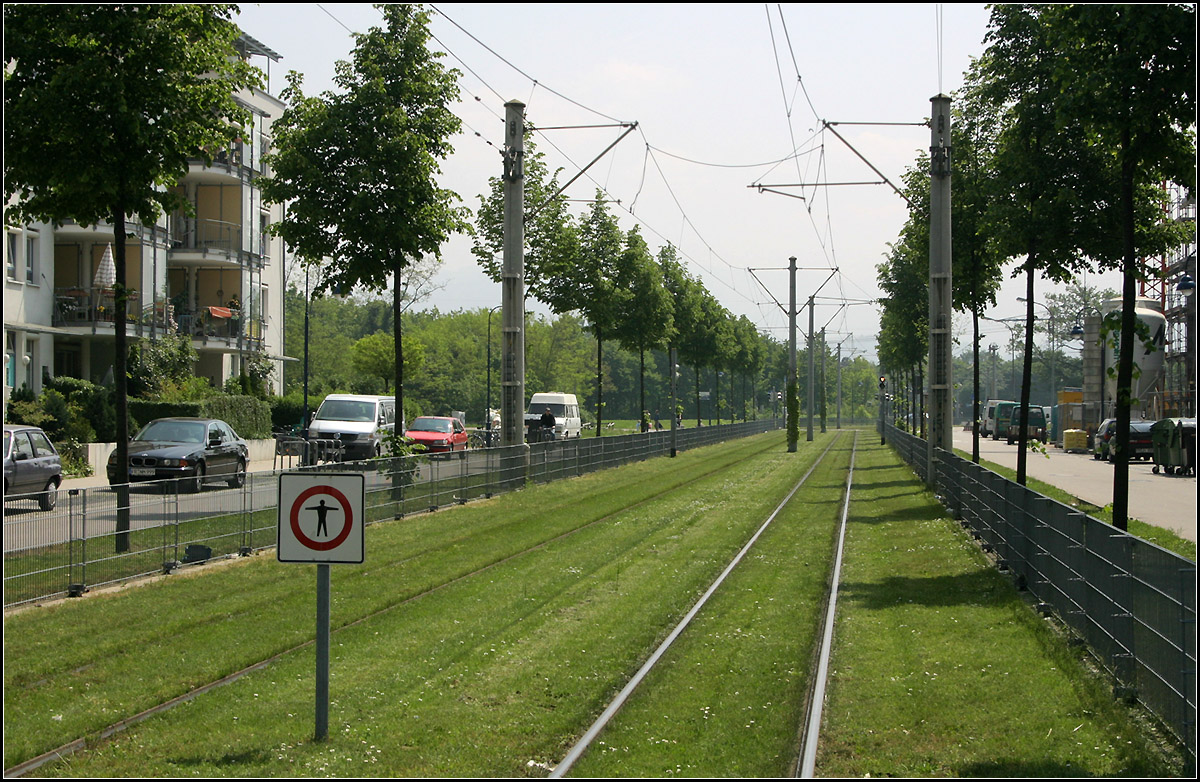 Die Straßenbahn in Freiburg-Rieselfeld -

Am 13. September 1997 wurde die Straßenbahn in den neuen Stadtteil Rieselfeld eröffnet. Zunächst wurde das Rieselfeld über die Strecke durch Weingarten angefahren mit einem Abzweig an der Haltestelle 'Lindenwäldle,' Die heutige Strecke von der Innenstadt über Wiehre und Haslach ging in den Jahren 2004 und 2002 in Betrieb. Seither verkehren die Bahnen ins Rieselfeld über diese Strecke.

Hier ein Blick von der ersten der drei neuen Haltestellen 'Geschwister-Scholl-Platz' auf den abgezäunten Rasenbahnkörper in Richtung der Umsteigehaltestelle 'Lindenwäldle.'

11.05.2006 (M)