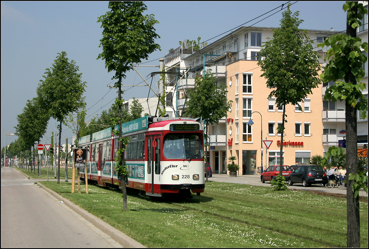 Die Straßenbahn in Freiburg-Rieselfeld -

Die Straßenbahntrasse folgt der Rieselfeldallee mittig durch das Wohngebiet. Die Straßenbahn wurde von Anfang an mit eingeplant und hat dadurch eine gute Erschließungswirkung. Hier blickt man von der Haltestelle 'Geschwister-Scholl-Platz' nach Westen. Hier hat man auf Zäune verzichtet, so wirkt die Trasse nicht so trennend.

11.05.2006 (M)