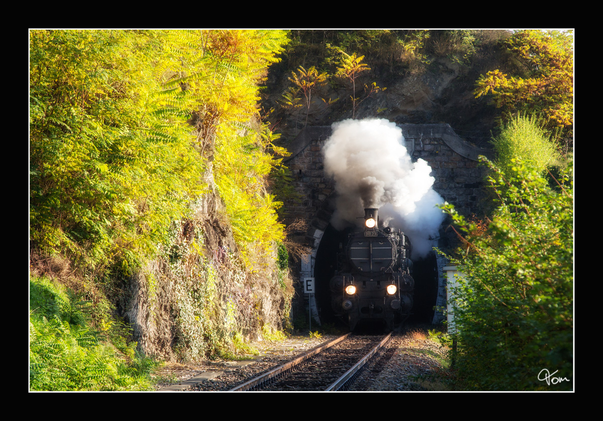 Die Strasshofer Dampflok 310.23 fährt mit dem SDZ 17264 von Wien Heiligenstadt nach Krems an der Donau. 
Stein Mautern 28.10.2016