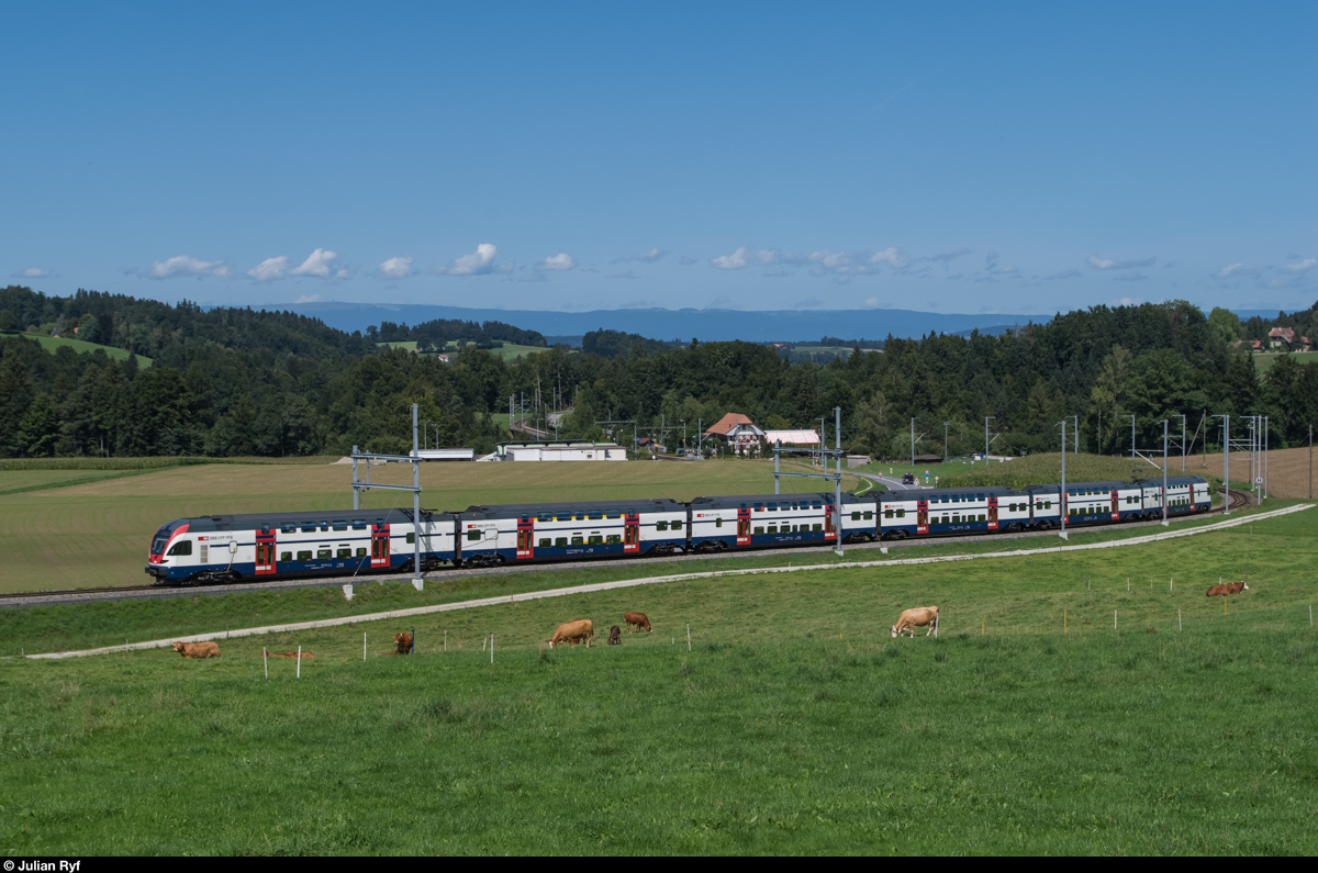 Die Strecke Bern-Schwarzenburg weist sowohl die grösste Steigung wie auch die engsten Kurvenradien auf dem Netz der BLS auf. Sie wird deshalb gerne für Testfahrten verwendet. Am Montag und Dienstag, 24. und 25. August 2015 wurden solche mit einem ZVV RABe 511 durchgeführt, wahrscheinlich zum Vergleich der Traktionsregelung zwischen diesem und dem sehr ähnlichen RABe 515  MUTZ  der BLS, der hier normalerweise zum Einsatz kommt.
Das Bild zeigt den RABe 511 013 am 25. August 2015 in der Aeckenmatt kurz nach der Haltestelle Schwarzwasserbrücke (im Hintergrund zu erkennen). 