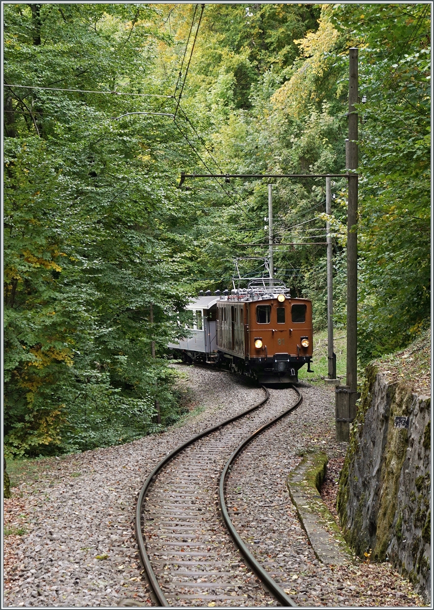 Die Strecke der Blonay-Chamby Bahn ist mit gut drei Kilometer nicht sehr lang, und doch bietet sie unzählige Fotomotive, wie z.B hier kurz vor der Baie de Clarens Brücke im Wald oberhalb von Blonay mit der Bernina Bahn Ge 4/4 81, die mit ihre 16:10 Personenzug auf dem Weg nach Chaulin ist.

11. Oktober 2020