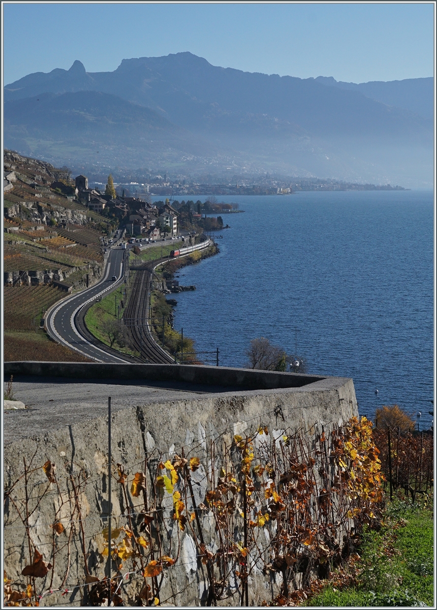 Die Suche nach den letzten Herbstblättern im Lavaux führte mich in die Rebberge oberhalb von Rivaz, wo der Blick über den See zu den Waadtländer Alpen gleitet. Am See entlang, kurz nach St-Saphorin, fährt eine SBB Re 460 mit ihrem IR90 1814 von Brig kommend in Richtung Genève Aéroport.

12. Nov. 2020