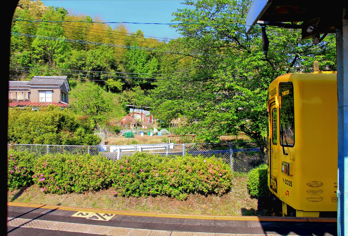 Die südlichere der beiden Transversallinien (offizieller Name: Hôhi-Hauptlinie) quer über die Insel Kyûshû: Zugskreuzung in Naka Handa. Wagen KIHA 125-111 (ehemals 125-11 mit neuer Bestuhlung). 1.Mai 2016. HÔHI-HAUPTLINIE 