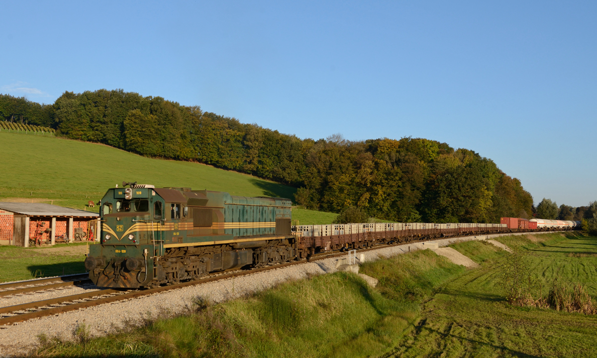 Die SZ 664 109 wartete am Morgen des 10 Oktobers mit einem gemischten Güterzug in der Betriebsausweiche Mihalovci auf den Gegenzug aus Ormoz.