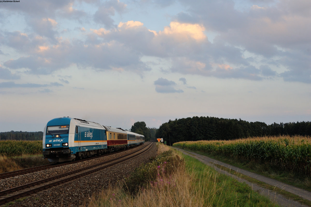 Die Tage werden kürzer: So war die Sonne zum ALX84112 (München-Hof) mit 223 065 auch schon verschwunden als dieser sich auf den letzten Kilometern Richtung Hof befindet und die ehemalige Blockstelle Oberteich durchfährt, 11.09.2015