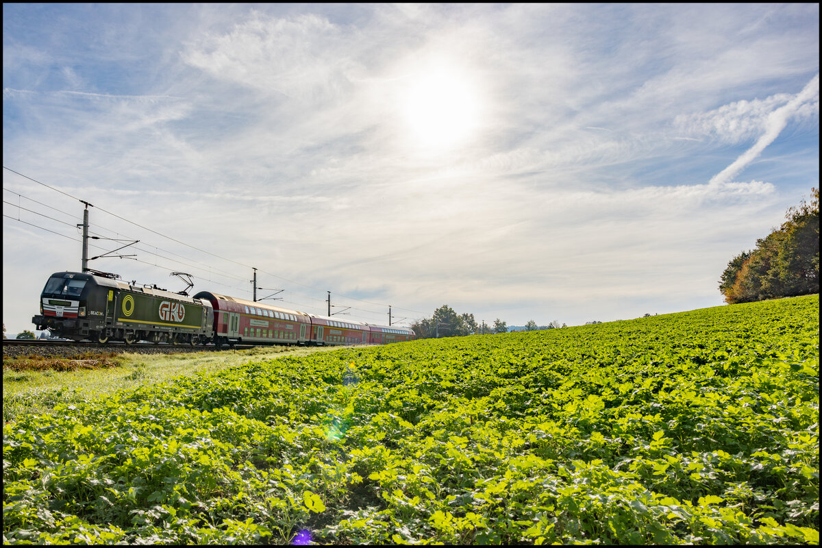 Die Tiefstehende Herbstsonne beleuchtet einen S-Bahn Zug im Ermerbogen ( Gasselsdorf ) 15.10.2026 