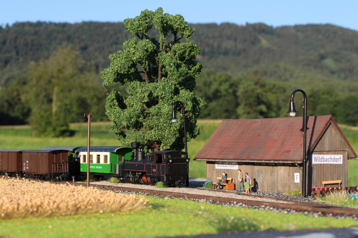 Die U43 bespannt an einem warmen Augustmorgen den nur an Wochenenden verkehrenden FW36 und hat in Wildbachdorf mit den Verschubtätigkeiten begonnen.
Es werden ein paar Leerwagen eingeholt und ein mit leeren Weinflaschen beladener Wagen beigestellt.

Bild von 11.8.2022