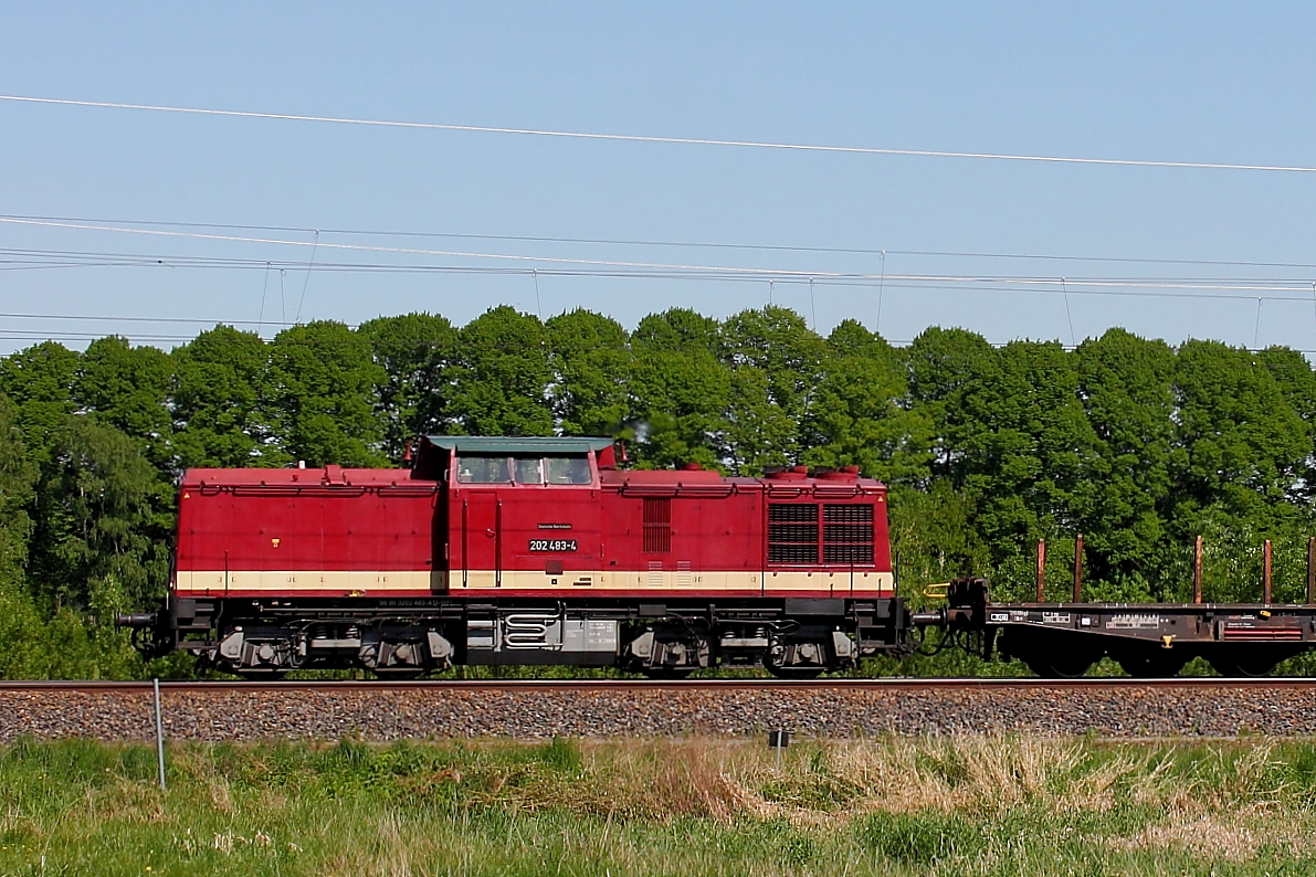 Die V 100 der WFL 202 483-4 am 07.05.2018 in Nassenheide.