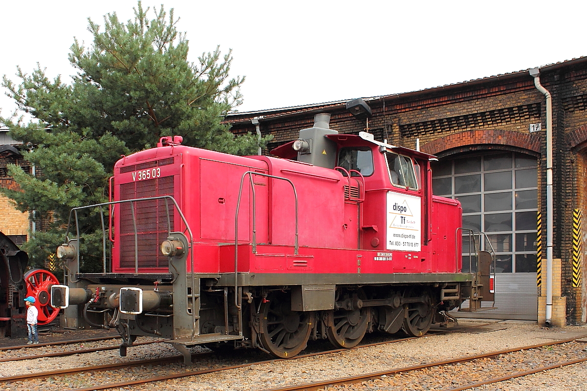 Die V 365 03 (98 80 3365 120-5) der dispo-Tf (V 60 DB)zu Gast beim 13. Eisenbahnfest in Berlin-Schöneweide am 17.09.2016.
Die Maschine wurde 1963 unter der Fabriknummer 600435 bei MaK gefertigt.


