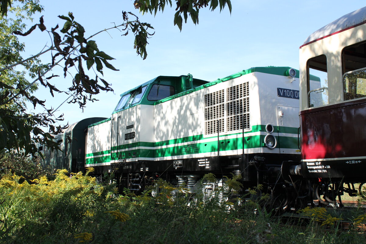 Die V100 003 vom Föderverein Berlin-Anhaltinische Eisenbahn e.V. mit dem DPE 19943 nach Staßfurt, am 09.09.2023 in der Abstellung in Karsdorf Bbf. Da die Unstrutbahn derzeit zwischen Karsdorf und Wangen (Unstrut) gesperrt ist, fand die Abstellung auf dem Streckengleis statt.