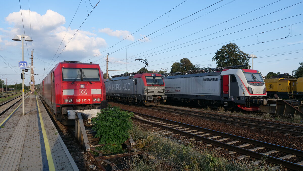 Die Vectron 193 506 der PKP Cargo fährt im Bahnhof Gänserndorf zwischen den abgestellten TRAXX 185 382 und 188 02 vorbei.