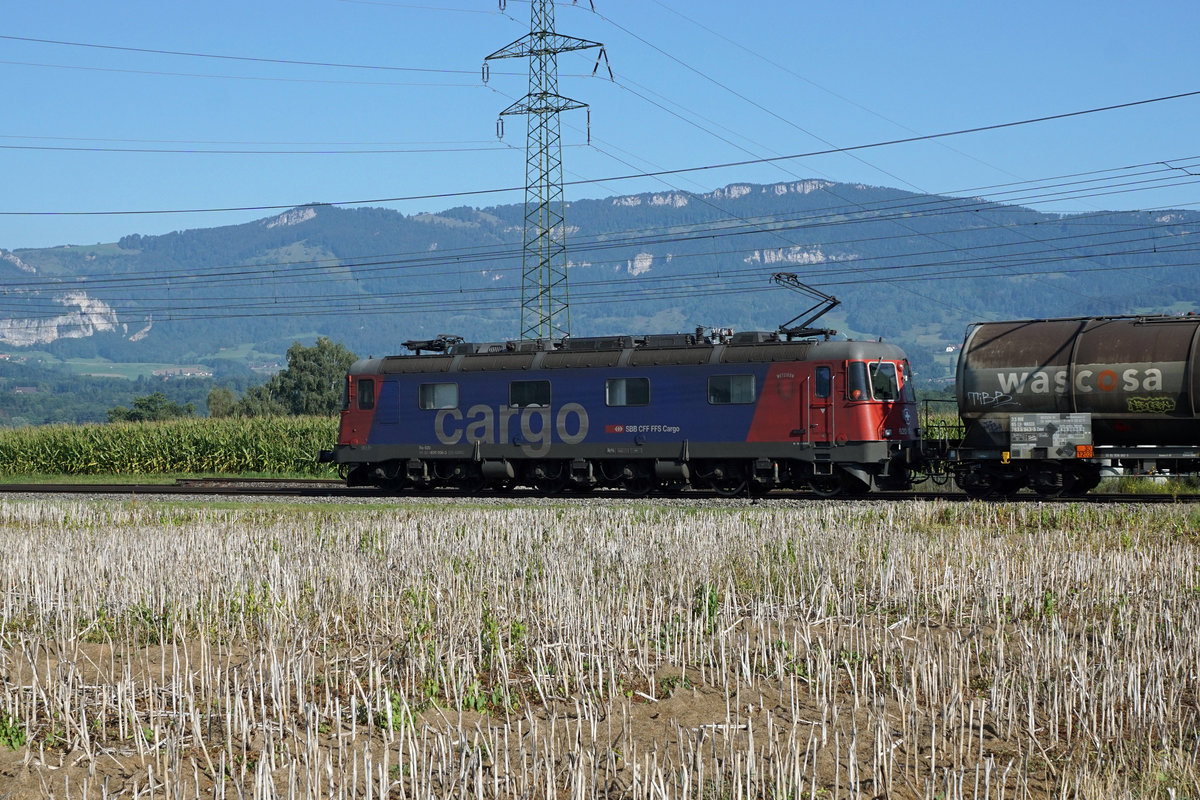 Die Wappen der Re 620.
OHNE WAPPEN - IMMER MEHR Re 620 von SBB CRGO.
Die verschiedenen Wappen gehören zu den Re 620 wie die Butter aufs Brot.
Trotzdem sind auf dem Schweizer Schienennetz in letzter Zeit immer mehr Re 620 ohne Wappen unterwegs.
Für mich stellt sich immer wieder die gleiche Frage:
Werden die Wappen im Auftrag von SBB CARGO oder durch WAPPENSAMMLER entfernt?
Während die am 4. September 2019 bei Deitingen fotografierte Re 620 008-3  Wetzikon  mit einem Kesselwagenzug ohne Wappen in Richtung Westen unterwegs war, präsentierte sich am selben Tag in Gerlafingen wenigstens noch die Re 620 029-9 mit dem Wappen Interlaken im schönsten Sonnenlicht dem Fotografen.
Foto: Walter Ruetsch 
