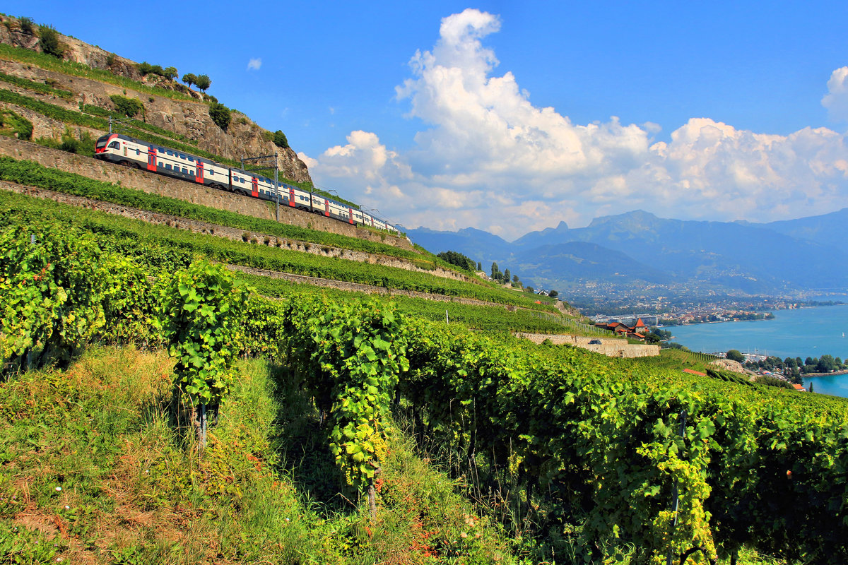 Die wegen Bauarbeiten via Vevey umgeleiteten Züge Fribourg - Genève auf der Lokallinie durch die Rebberge bei Chexbres. Unten am See die Stadt Vevey. Ein Sechswagen-Doppelstockzug Serie 511.  2. August 2018  