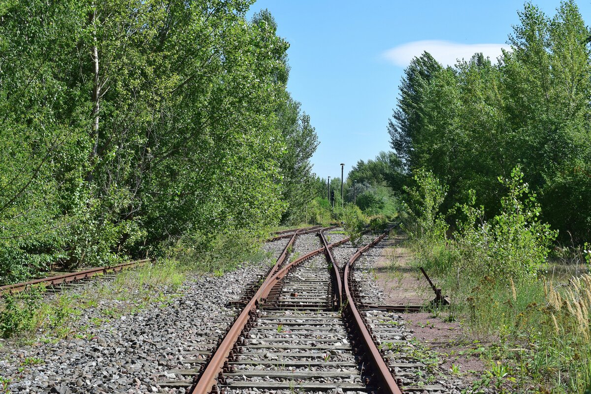 Die Weichenverbindungen sind zwar kaum gewachsen aber die Weichen sind alle schon verschlossen worden und an sämtlichen Weichen wurden diverse Teile demontiert. In Braunsbedra umweit des Bahnhofes gab es bis Ende der 90er Jahre die Mineralölwerke Lützkendorf. Heute zeugen nur noch die alten Wege sowie einzelne Gleisanlagen und einzelne Gebäuderuinen von der einstigen Raffinerie. 

Braunsbedra 14.08.2021