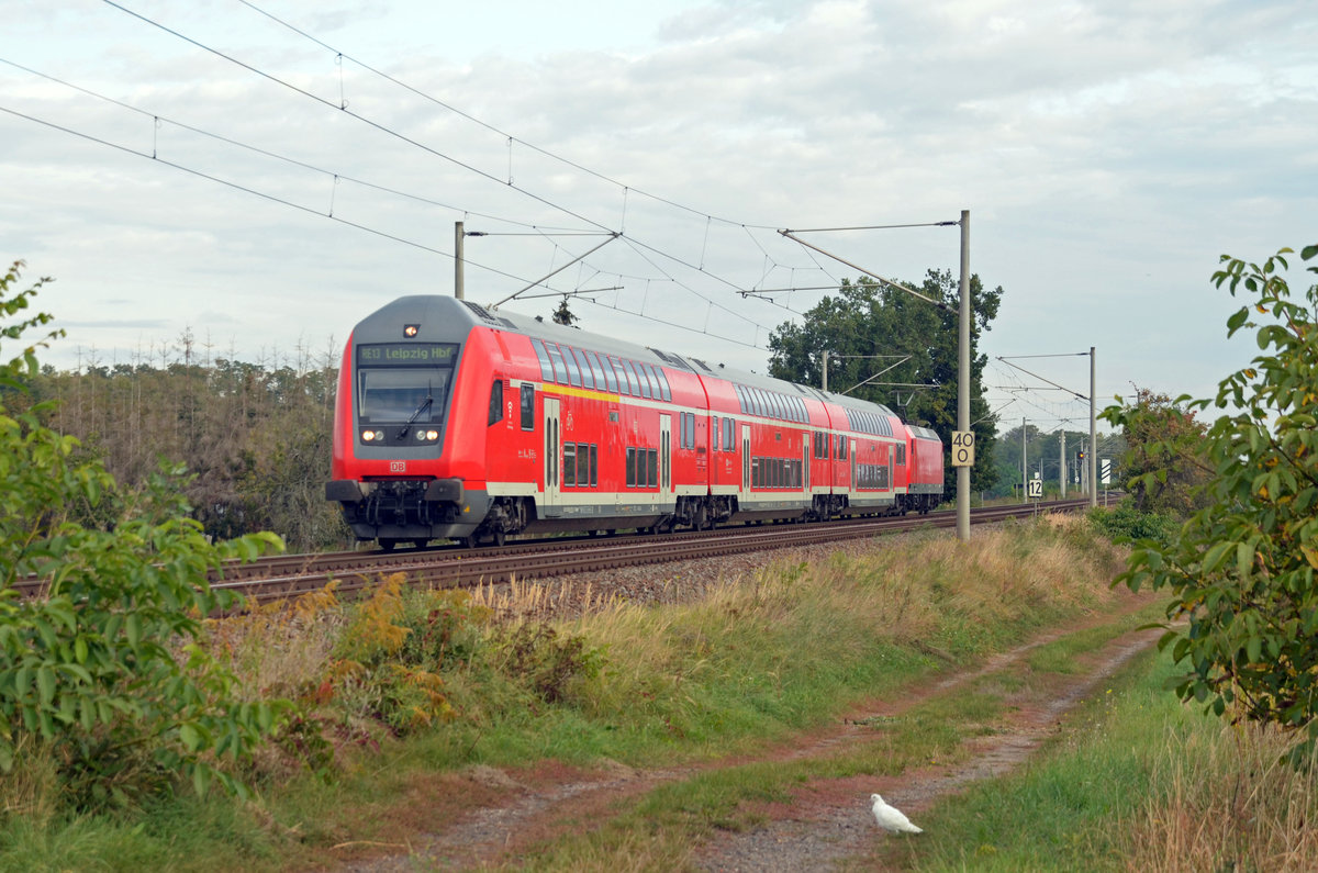 Die weiße Taube musste am 24.09.20 nicht dran glauben, als ein RE 13 von Magdeburg nach Leipzig durch Jeßnitz fuhr.