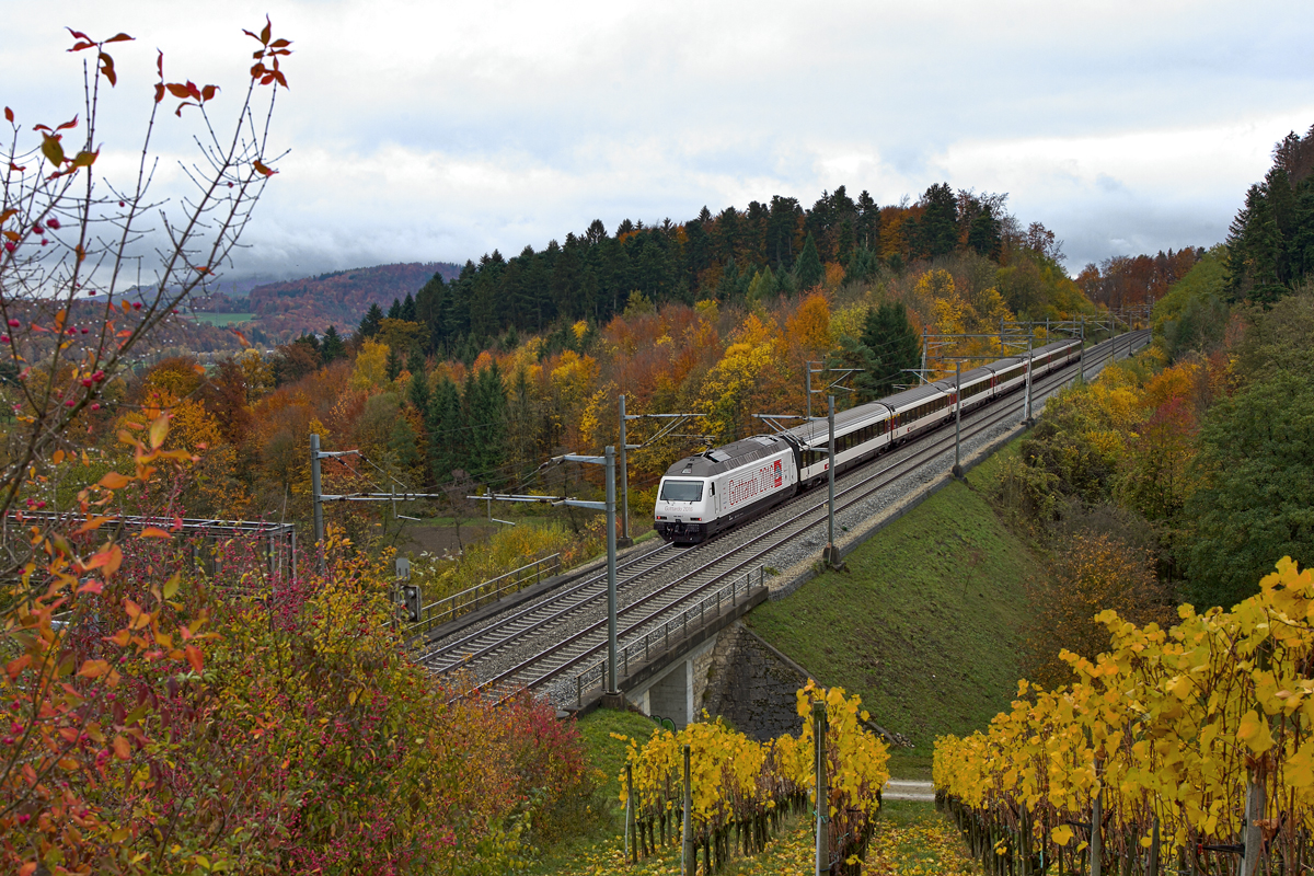 Die Werbelok Re 460 098-7  Gottardo 2016  schiebt an einem IC aus Zürich HB nach Basel SBB .Bild Villnachern 2015
