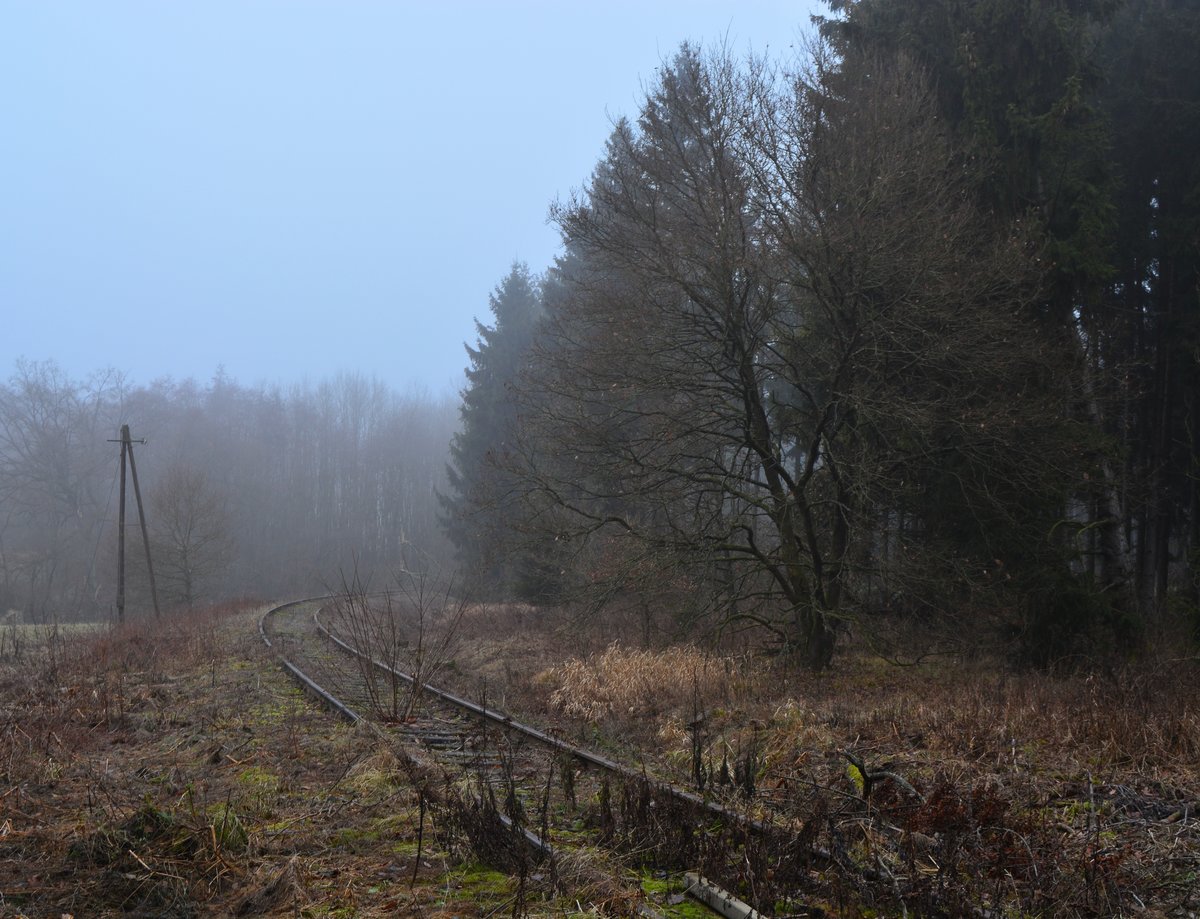 Die Westerwaldquerbahn ist seit mehr als 18Jahren in Dornröschenschlaf ist aber größtenteils bis Rennerod noch komplett vorhanden. Seit 1998 ist die Strecke Westerburg-Herborn stillgelegt man hat jedoch weder Signaltechnik noch die Telegrafenmasten abgebaut. Hier führt sie durch Halbs in Blickrichtung Höhn.

Halbs 17.12.2016