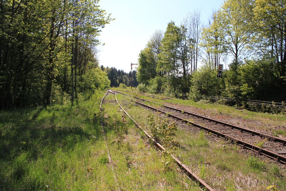 Die westliche Ausfahrt des Bahnhofes Gerichtsberg bei km 36,5 an der Leobersdorferbahn mit einem alten Hauptsignal, das wohl länger auf  Halt  -position bleiben wird, Mai 2011