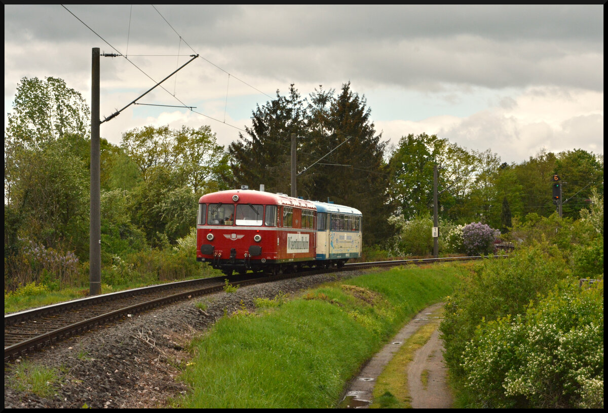 Die Wisentatalbahn (VT 789 813-1 & 592-1) ist am 20.04.2024 auf Sonderfahrt von Lichtenfels über Schweinfurt, das Wern- und Sinntal nach Jossa unterwegs, als die Schienenbusse hier durch die Höfleiner Kurve, zwischen Hallstadt und Höflein, den Bahnhof Bamberg nördlich umfahren.