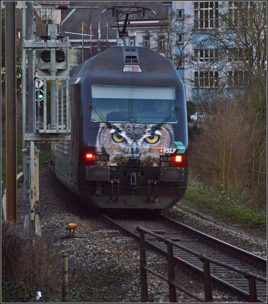 Die wohl bisher beeindruckendste Werbelok hat mich verfolgt, immer die Augen gegen das Auge des Fotografen gerichtet. 460 105-0 in Neuhausen am Rheinfall. Mrz 2014.