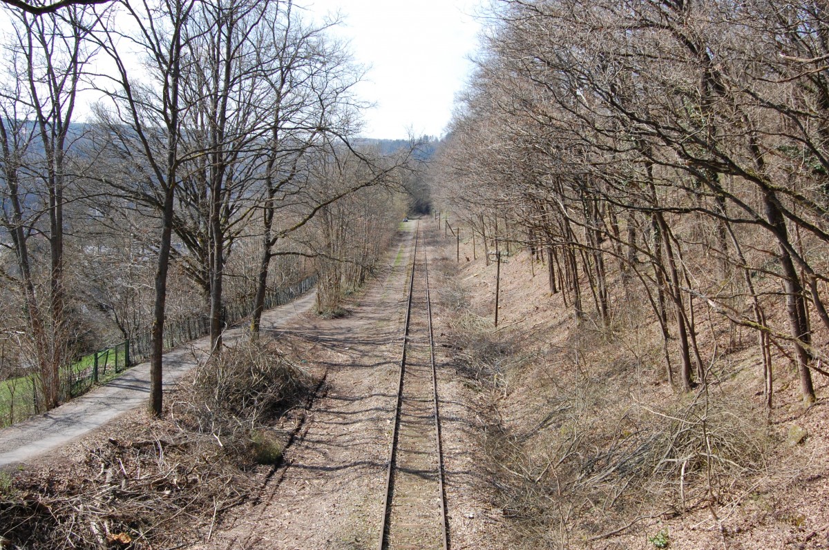 Die württembergische Schwarzwaldbahn am 9. April 2015 mit Blick von der Brücke zwischen Sonnenhalde und Hengstetter Steige in Calw-Heumaden.