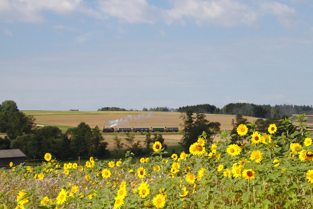 Die wunderschne kleine 92.2271 kurz nach der Ausfahrt aus Schwarzenau. (15.08.2013)