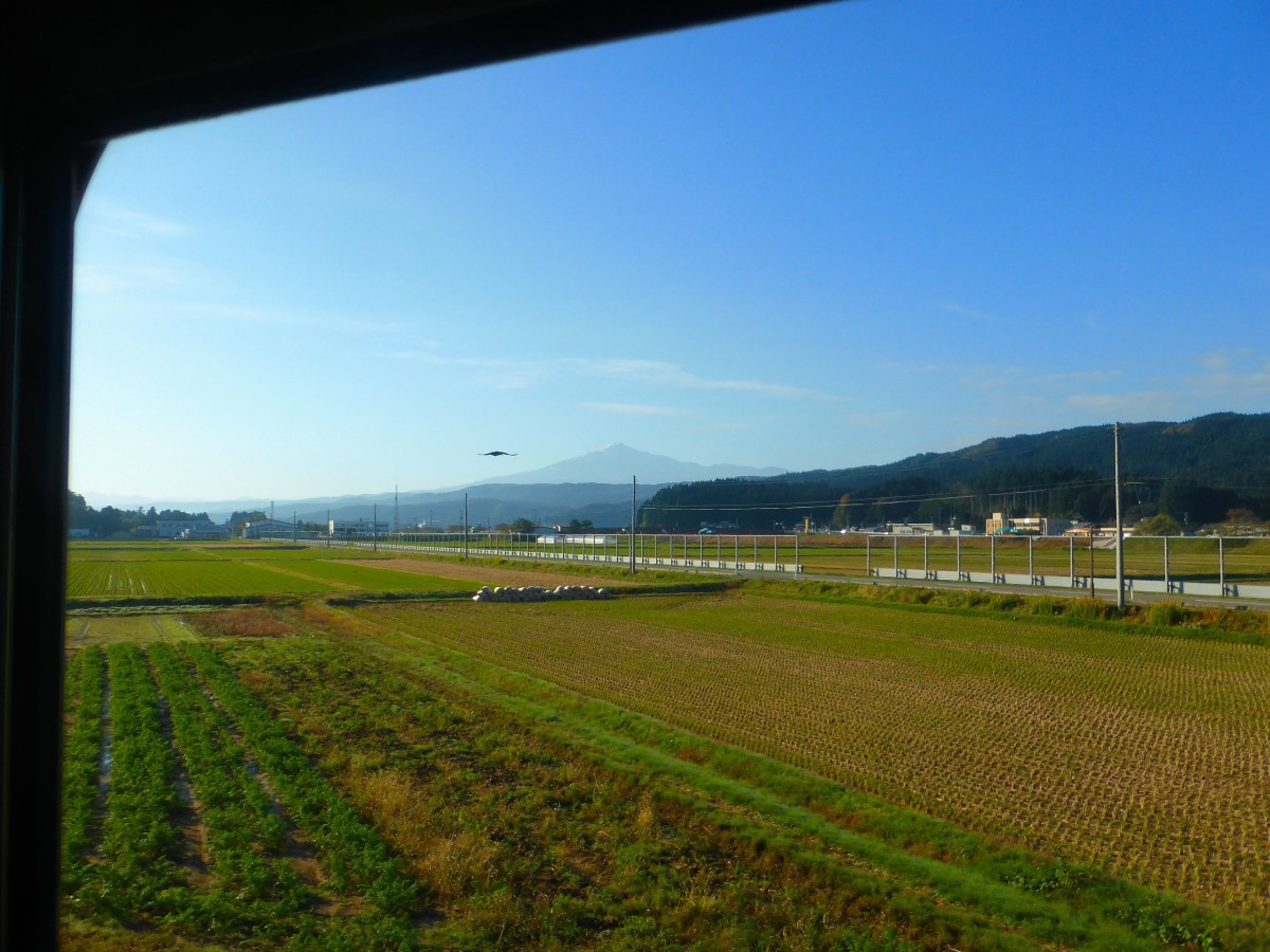 Die Yuri Kôgen-Bahn: An einem typischen Herbsttag unterwegs aus dem Zug. Gut zu sehen sind die Alu-Wände in den Feldern, die im Winter als Schutz gegen die Schneeverwehungen hochgezogen werden. Zwischen Kurosawa und Magarisawa, 2.November 2013. 