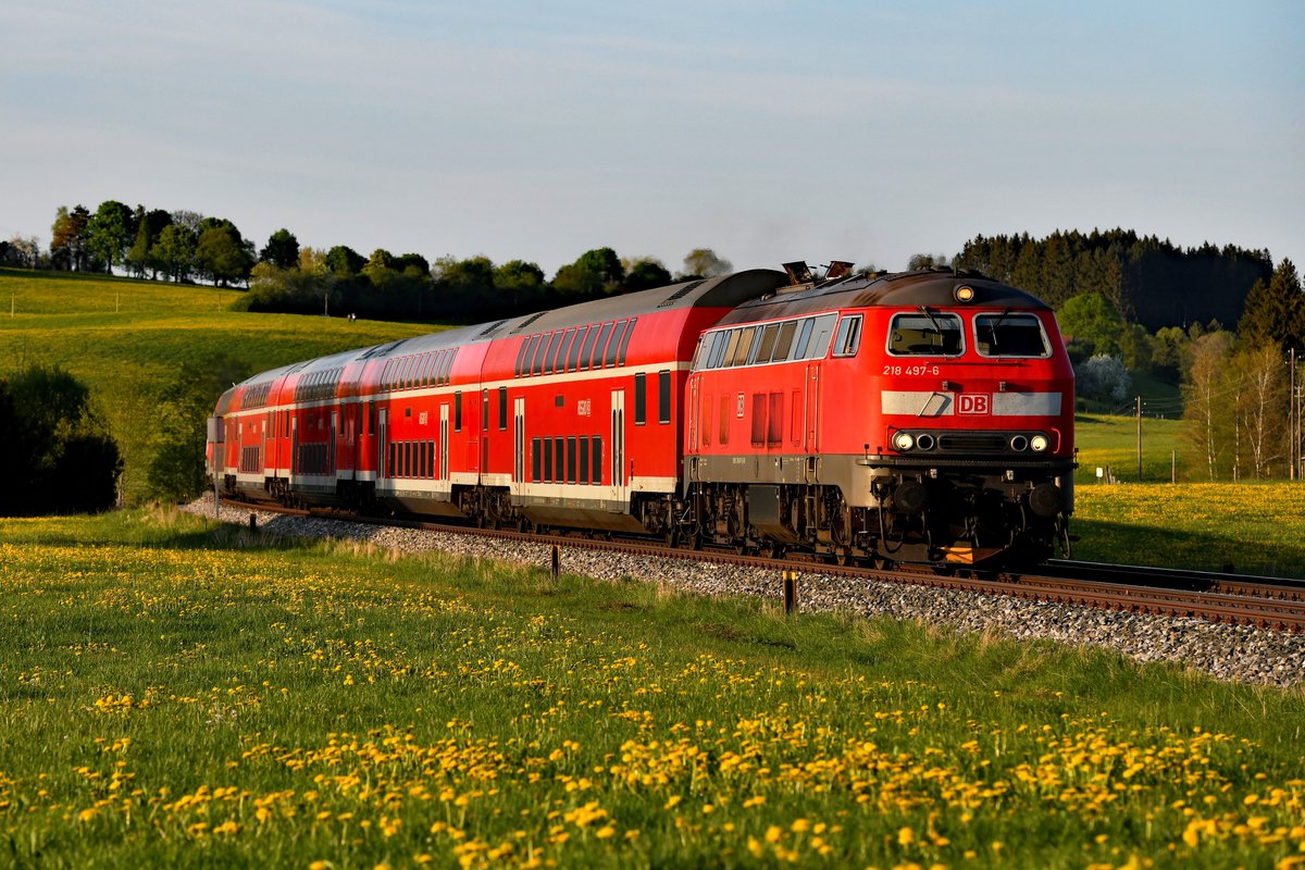 Die Zeit der lokbespannten Züge im Allgäu läuft unweigerlich ab, ebenso die der Baureihe 218 im aktiven Dienst. Deswegen war mir am Abend des 27. April 2018 als Abschluss eines recht erfolgreichen Foto-Ausfluges die 218 497 eine fahrzeugorientierte Aufnahme wert. Sie bespannte die RB 57444 nach Kempten HBF und hat am Aufnahmeort Görwangs bald ihr Ziel erreicht. Hergestellt bei MaK in Kiel startete die Lok im Mai 1979 ihre Karriere in Lübeck und blieb bis ins Jahr 2000 im hohen Norden. Nach Zwischenstationen in Kaiserslautern, Darmstadt und Frankfurt-Griesheim ist sie nun seit 2015 in Kempten beheimatet. 
