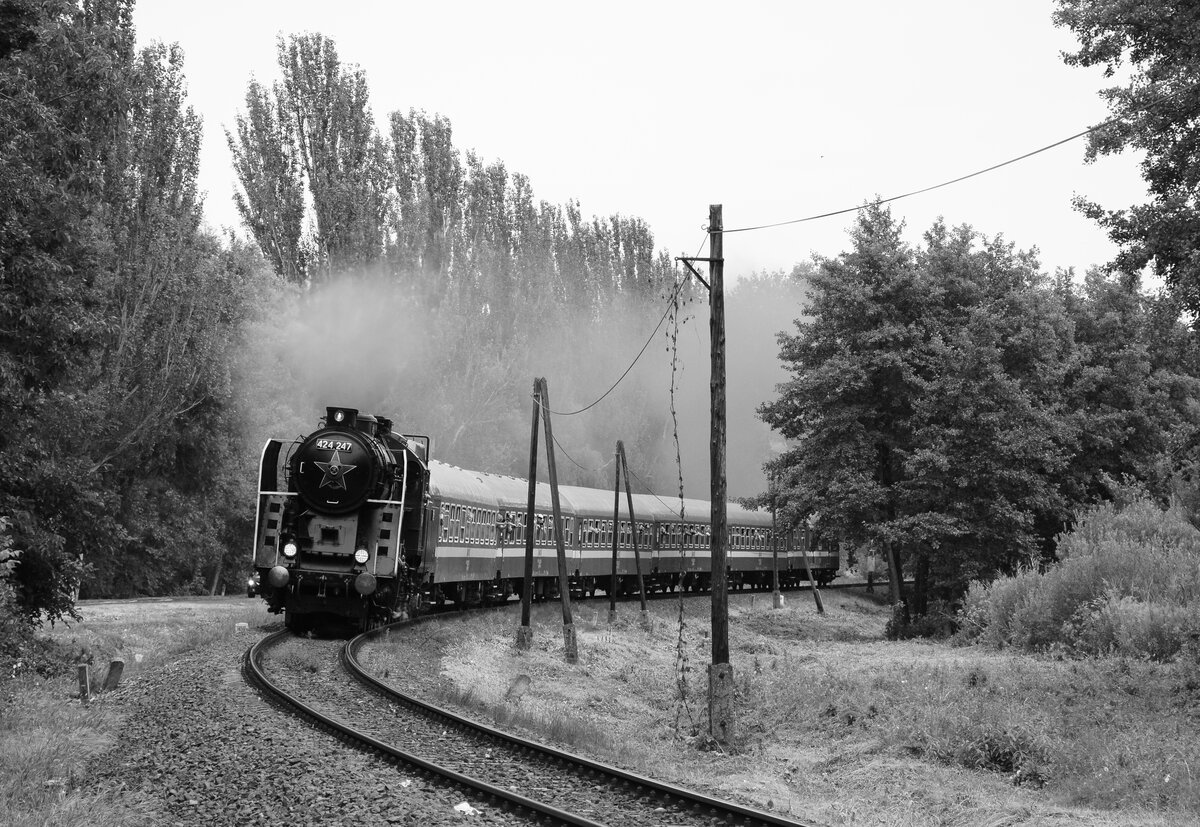 Die Zeitreise ist möglich! Die 424 247-er Dampfer mit dem Planzug 1972 zwischen Révfülöp und Badacsony.
13.08.2022.