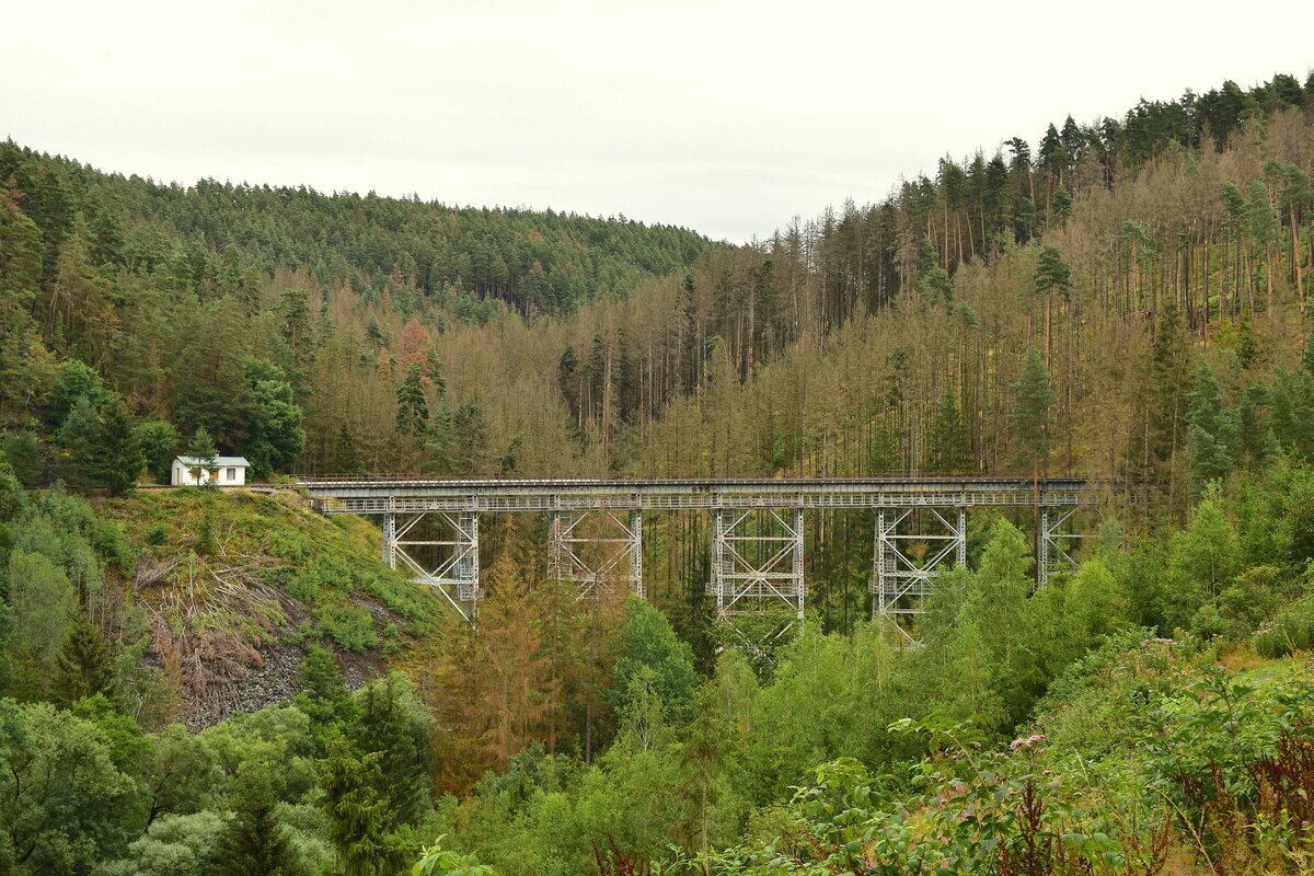 Die Ziemestalbrücke ist das beeindruckenste Bauwerk zwischen Triptis und Unterlemnitz. Schon von weitem beim Gang durch den Thüringer Wald sieht man diese beeindruckende Brücke.

Remptendorf 01.08.2023