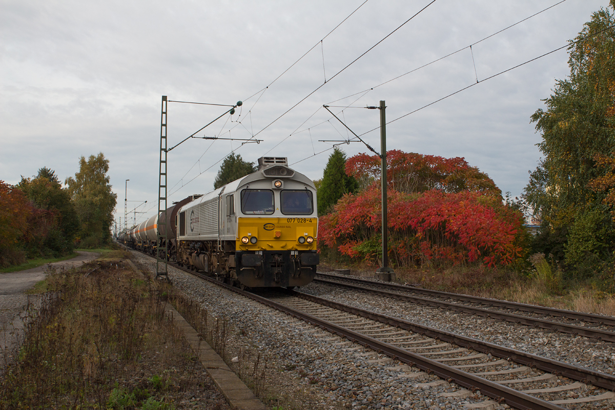 Die Zusammenarbeit zwischen Mensch und Natur macht es möglich, daß sich scheinbar motivlose Stellen in etwas Sehenswertes verwandeln können.
So konnte 077 028-4 am Vormittag des 23.10.16 mit ihrem langen, gemischten Güterzug von München Nord Rbf nach Mühldorf in Szene gesetzt werden.