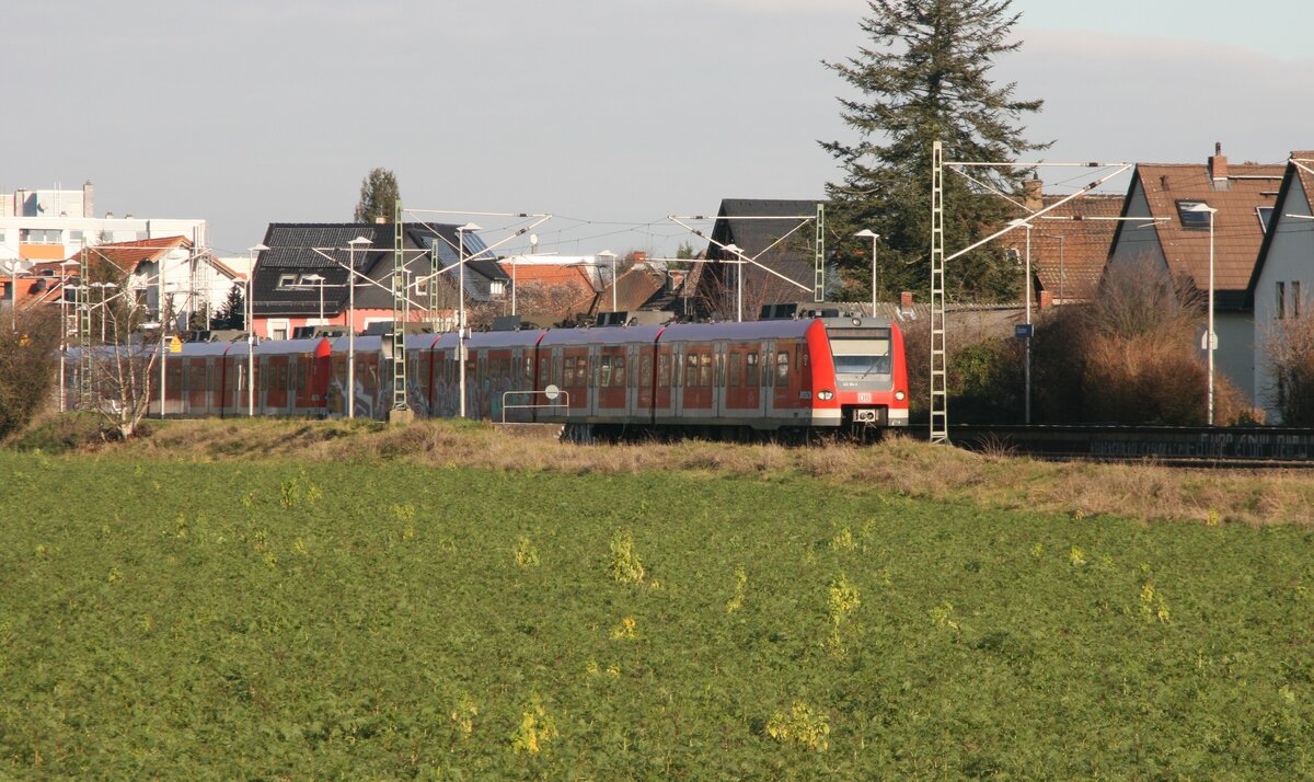 Diese BR423-Dreifachtraktion fährt am 10.1.2021 als S6 Frankfurt Süd aus dem Haltepunkt Karben aus. Führend ist 423 304.