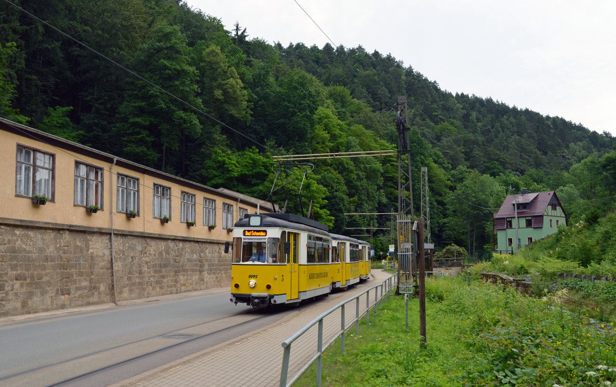 Diese Kirnitzschtalbahn war am 16.06.16 unterwegs vom Lichtenhainer Wasserfall zum Endpunkt Bad Schandau Kurpark als sie den haltepunkt Botanischer Garten erreichte.