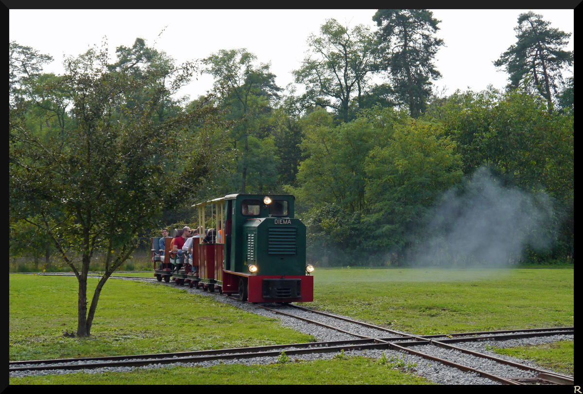 Diese kleine Feldbahnlok hatte das Glück zur Historischen Eisenbahn Mannheim zu kommen und kann nach ihrer Aufarbeitung seit 2010 wieder zeigen, was ihn ihr steckt und fährt auf den selbstverlegten Gleisen auf dem Vereinsgelände.

Die Lok der Baureihe DS30 von Diema wurde 1959 gebaut und wurde früher in den Eisenberger Klebsandwerken eingesetzt. 
(Quelle: http://www.historische-eisenbahn-ma.de/html/feldbahnds30.html)

(28.September 2013)