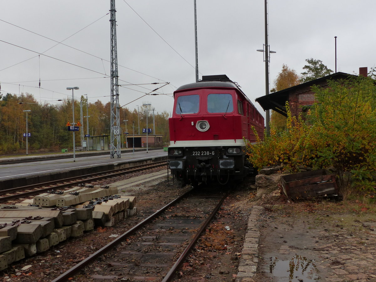 Diese schöne Dame, stand am 07.11.2016 im Bhf Hosena