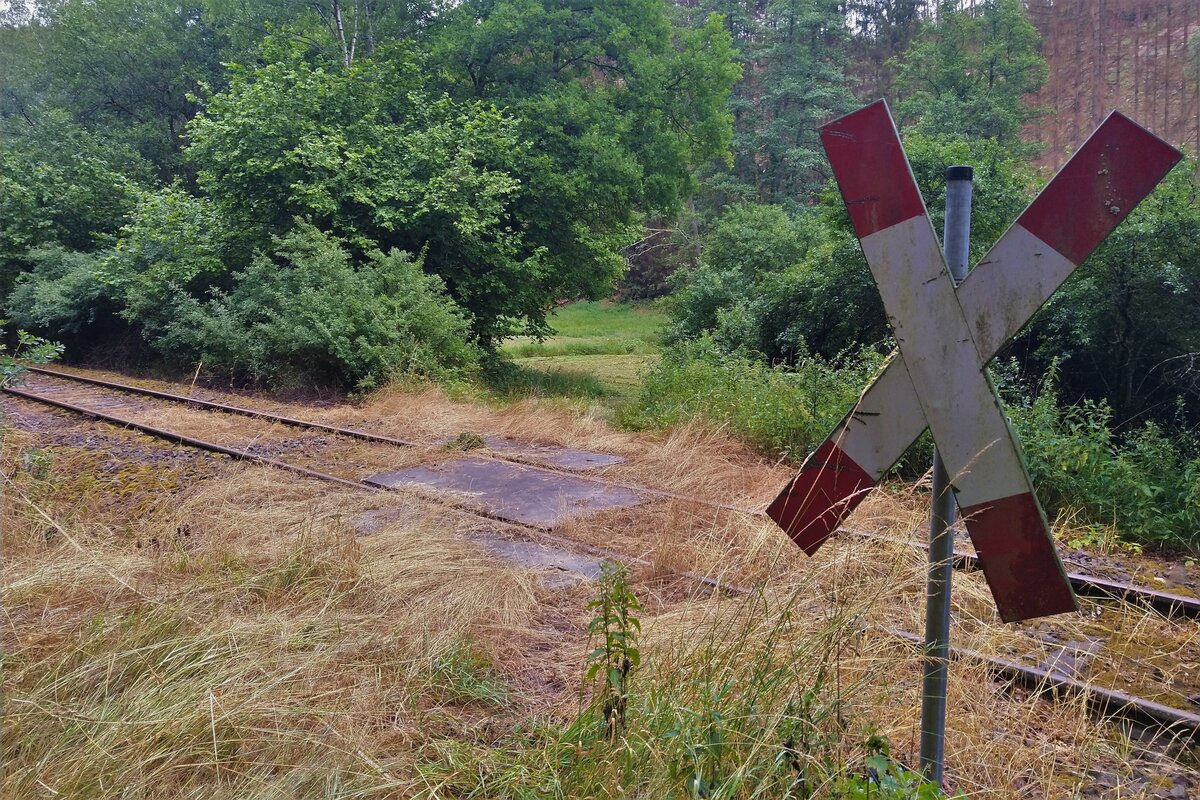 Dieses Andreas-Kreuz an einem Landwirtschafts-Bahnübergang im Drebagrund zwischen der Posenmühle und Ziegenrück hat die Zeiten bisher recht gut überstanden. Offenbar wurde es erst kurz vor der Strecken-Stilllegung montiert. Foto vom 1.7.