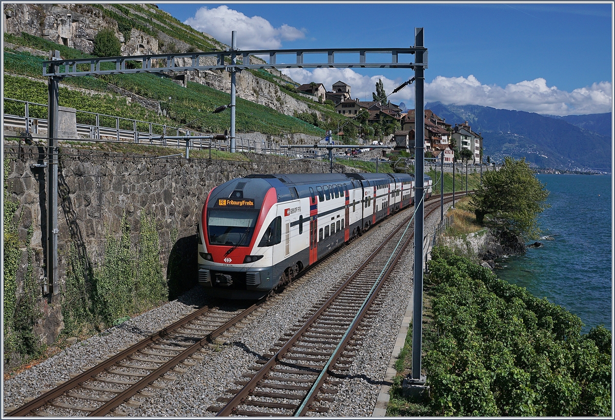 Dieses Bild wird es auch künftig alle halbe Stunde geben, nur die Zugzielanzeige wird nicht mehr Fribourg/Freiburg lauten. 
Der SBB RABe 511 114 als RE 30225 von Genève nach Fribourg via Vevey kurz vor St-Saphorin.
26. August 2018