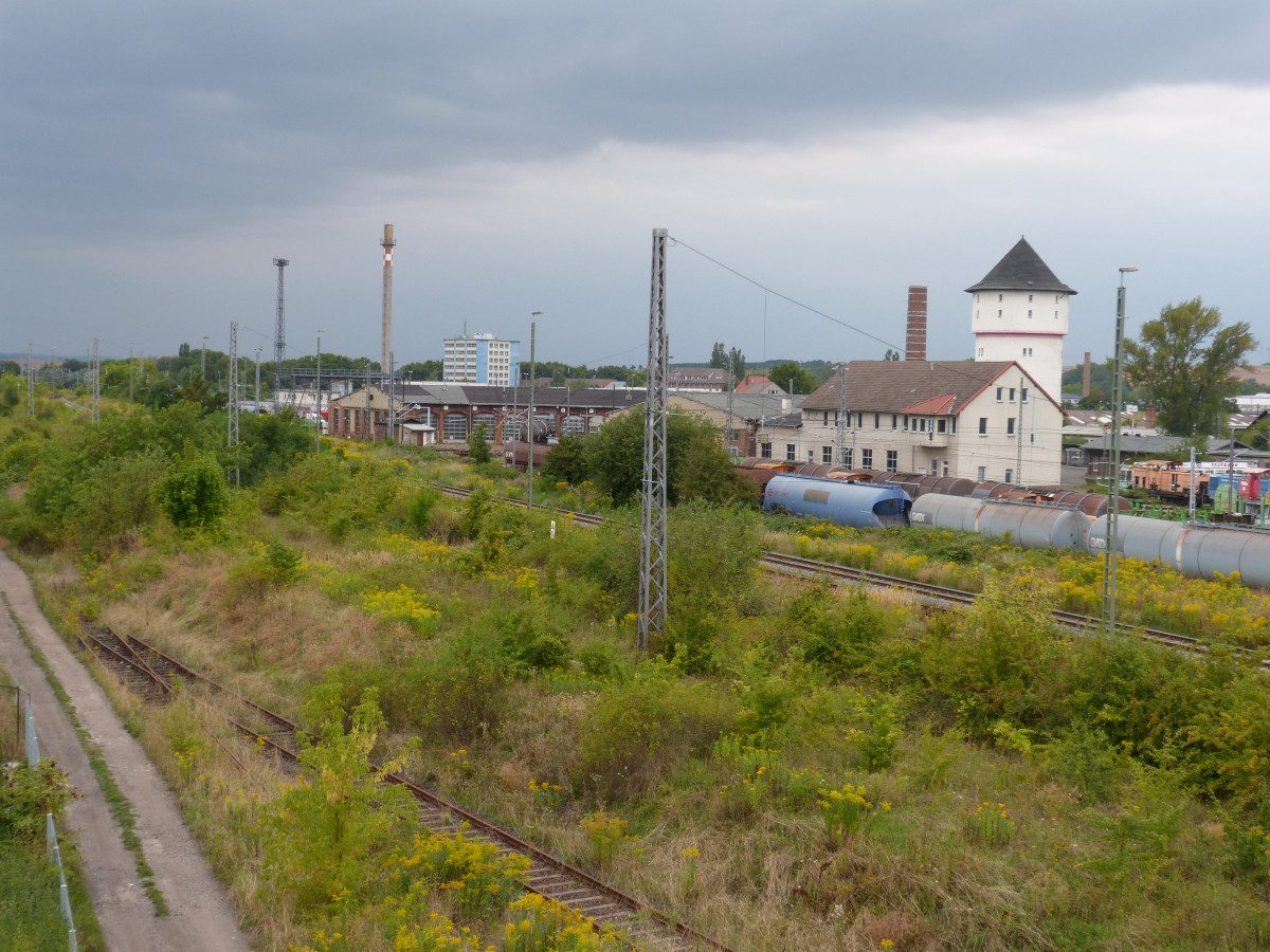 Dieses Foto vom BW Nordhausen 31.08.2013 whlte ich bewut als Vergleichsfoto zu diesem Bild von mir: http://www.bahnbilder.de/bild/Deutschland~E-Loks~BR+140+Lokportraits/651248/140-113-2-abgestellt-in-nordhausen-2004 .html. Beachtlich die Entwicklung der Vegetation.