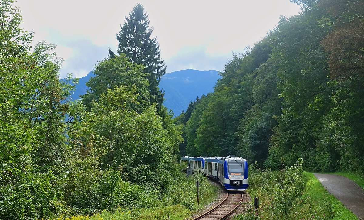 Direkt am Schliersee fährt der VT 494 der Bayerischen Regiobahn am 30.08.2023 auf seinem Weg von Bayrischzell nach München entlang. Wegen des dichten Bewuchses ist der allerdings nicht zu sehen.